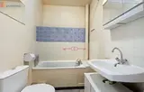 Miniature 3