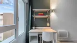 Miniature 4
