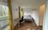 Miniature 0