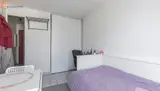 Miniature 13