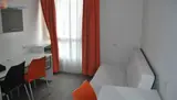 Miniature 3