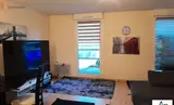 Miniature 3