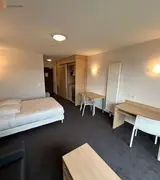 Miniature 7
