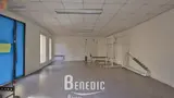 Miniature 6