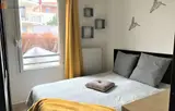 Miniature 3