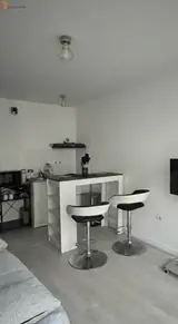 Miniature 4