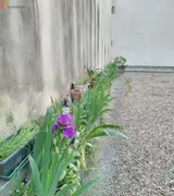 Miniature 6