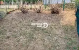 Miniature 4