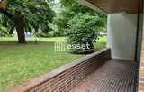 Miniature 5