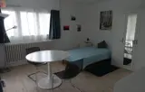 Miniature 5