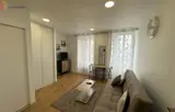 Miniature 0