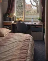 Miniature 5