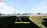 Miniature 4