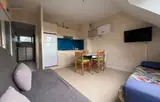 Miniature 0