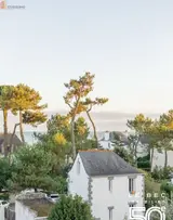 Miniature 5