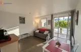 Miniature 0
