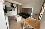 Miniature 3
