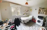 Miniature 0