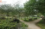 Miniature 5
