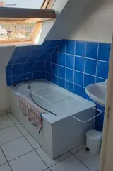 Miniature 1