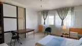 Miniature 4