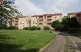 Miniature 4