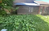 Miniature 4