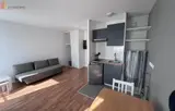 Miniature 36