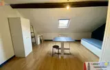 Miniature 5