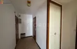 Miniature 7