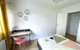 Miniature 4