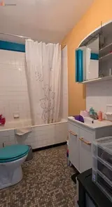 Miniature 3