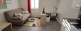 Miniature 8