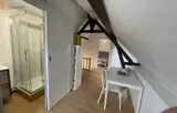 Miniature 4