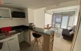 Miniature 4