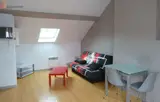 Miniature 8
