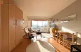 Miniature 0