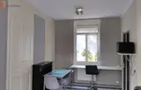Miniature 5