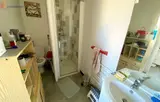 Miniature 4