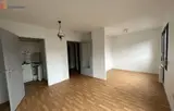 Miniature 0