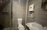 Miniature 6