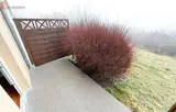 Miniature 0