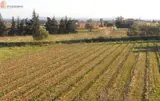 Miniature 0