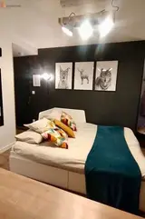 Miniature 4