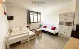 Miniature 9