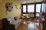 Miniature 4