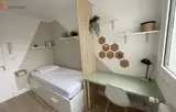 Miniature 3