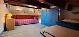 Miniature 5