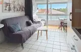 Miniature 4