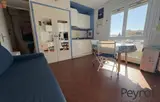 Miniature 0